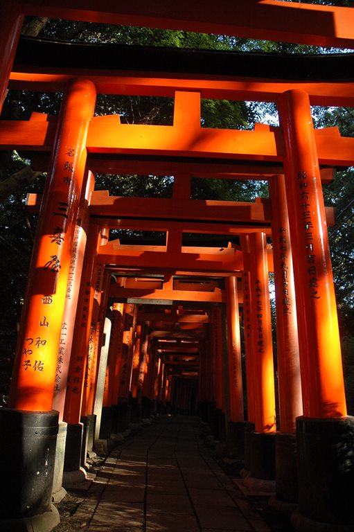 074   Japonia